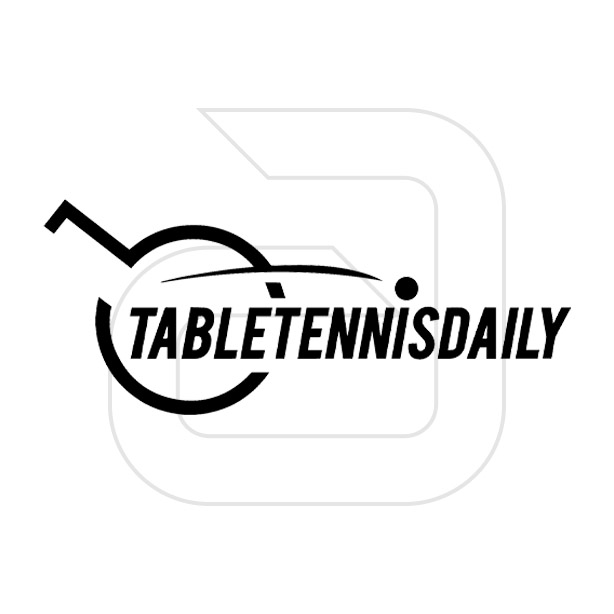 andro tabletennisdaily C53 review Testbericht
